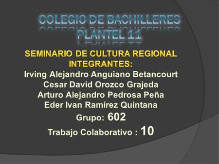 COLEGIO DE BACHILLERES PLANTEL 11