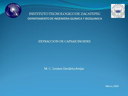 INSTITUTO TECNOLOGICO DE ZACATEPEC