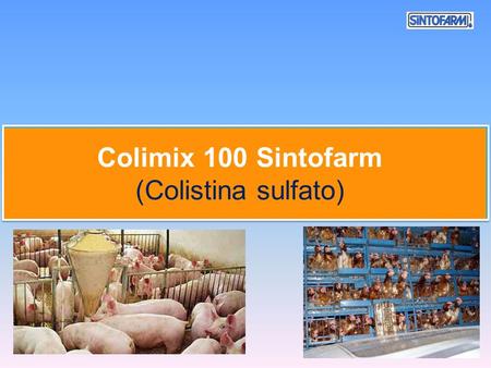 Colimix 100 Sintofarm (Colistina sulfato).