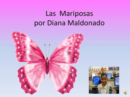 Las Mariposas por Diana Maldonado