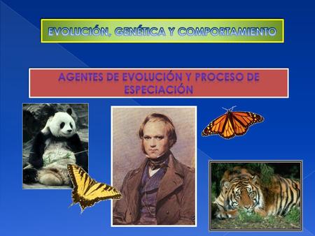 EVOLUCIÓN, GENÉTICA Y COMPORTAMIENTO