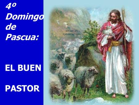 4º Domingo de Pascua: EL BUEN PASTOR.