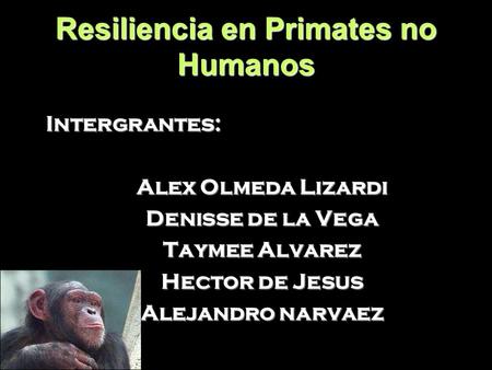 Resiliencia en Primates no Humanos