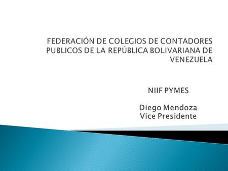 NIIF PYMES Diego Mendoza Vice Presidente