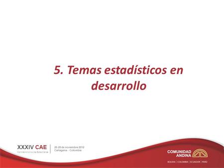 5. Temas estadísticos en desarrollo XXXIV CAE Comité Andino de Estadística 26-28 de noviembre 2012 Cartagena - Colombia.