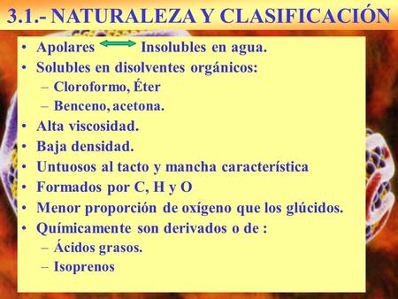 3.1.- NATURALEZA Y CLASIFICACIÓN