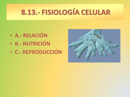 8.13.- FISIOLOGÍA CELULAR A.- RELACIÓN B.- NUTRICIÓN C.- REPRODUCCIÓN.