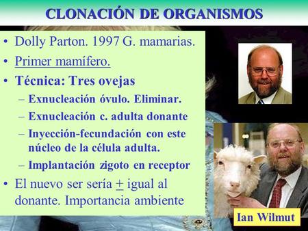 CLONACIÓN DE ORGANISMOS Dolly Parton. 1997 G. mamarias. Primer mamífero. Técnica: Tres ovejas –Exnucleación óvulo. Eliminar. –Exnucleación c. adulta donante.