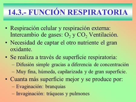 14.3.- FUNCIÓN RESPIRATORIA Respiración celular y respiración externa: Intercambio de gases: O2 y CO2 Ventilación. Necesidad de captar el otro nutriente.