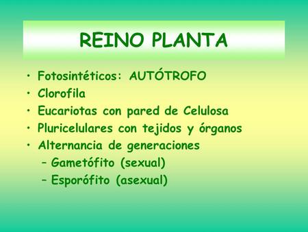REINO PLANTA Fotosintéticos: AUTÓTROFO Clorofila