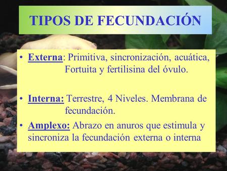 TIPOS DE FECUNDACIÓN Externa: Primitiva, sincronización, acuática, 		Fortuita y fertilisina del óvulo. Interna: Terrestre, 4 Niveles. Membrana de 		fecundación.