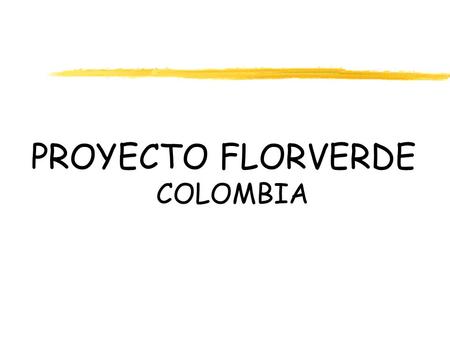 PROYECTO FLORVERDE COLOMBIA