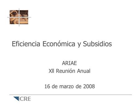 Eficiencia Económica y Subsidios