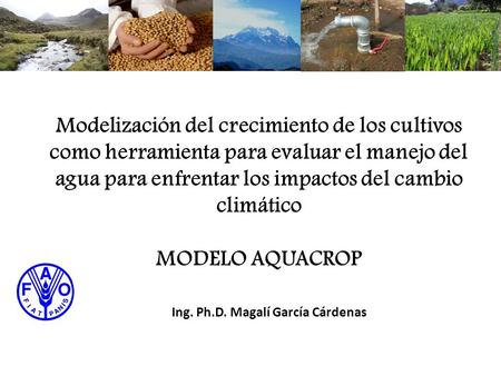 Modelización del crecimiento de los cultivos como herramienta para evaluar el manejo del agua para enfrentar los impactos del cambio climático MODELO.