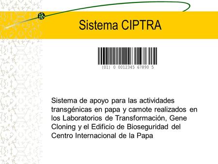 Sistema CIPTRA Sistema de apoyo para las actividades transgénicas en papa y camote realizados en los Laboratorios de Transformación, Gene Cloning y el.
