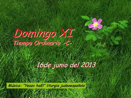 Domingo XI 16de junio del 2013 Tiempo Ordinario -C-