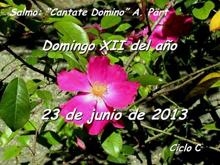 23 de junio de 2013 Domingo XII del año