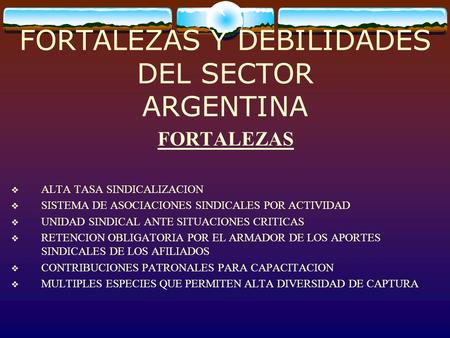 FORTALEZAS Y DEBILIDADES DEL SECTOR ARGENTINA