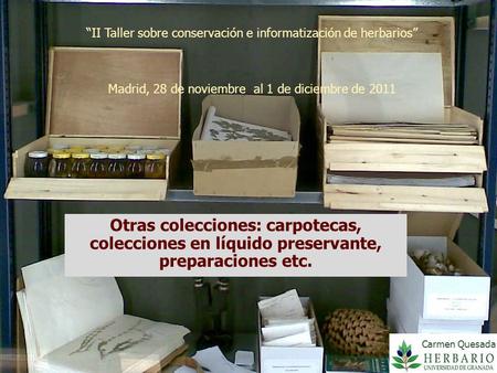 “II Taller sobre conservación e informatización de herbarios” Madrid, 28 de noviembre al 1 de diciembre de 2011 Otras colecciones: carpotecas, colecciones.