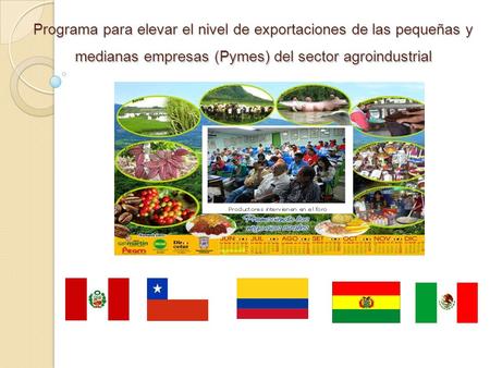 Programa para elevar el nivel de exportaciones de las pequeñas y medianas empresas (Pymes) del sector agroindustrial.