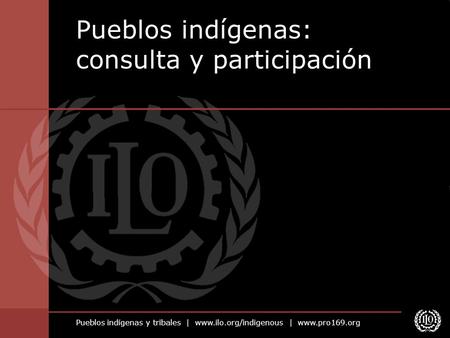 Pueblos indígenas: consulta y participación