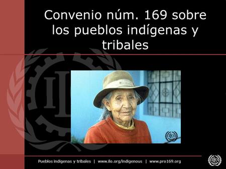Convenio núm. 169 sobre los pueblos indígenas y tribales
