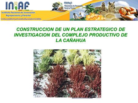 MANDATO LEGAL El Decreto Supremo 29611, es el sustento legal de la creación del Instituto Nacional de Innovación Agropecuaria y Forestal - INIAF, como.