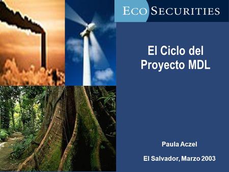 El Ciclo del Proyecto MDL Paula Aczel El Salvador, Marzo 2003.