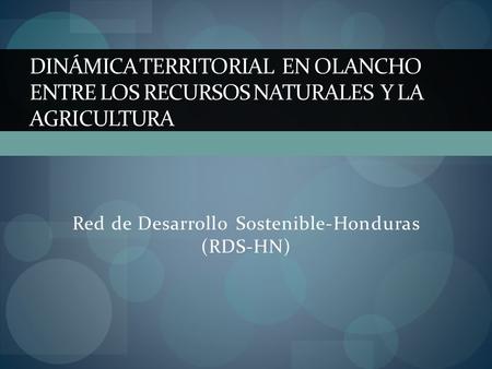 Red de Desarrollo Sostenible-Honduras (RDS-HN)