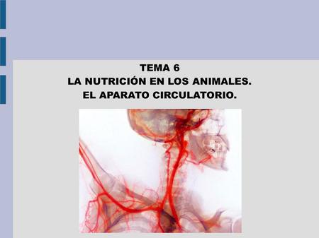 LA NUTRICIÓN EN LOS ANIMALES. EL APARATO CIRCULATORIO.