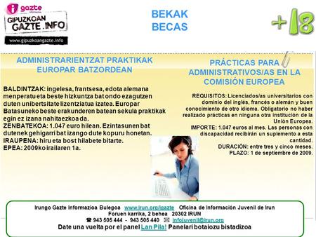 BEKAK BECAS PRÁCTICAS PARA ADMINISTRATIVOS/AS EN LA COMISIÓN EUROPEA REQUISITOS: Licenciados/as universitarios con dominio del inglés, francés o alemán.