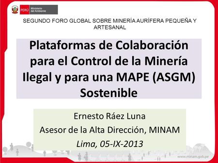 Ernesto Ráez Luna Asesor de la Alta Dirección, MINAM Lima, 05-IX-2013