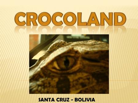 CROCOLAND SANTA CRUZ - BOLIVIA.