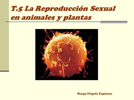T.5 La Reproducción Sexual en animales y plantas