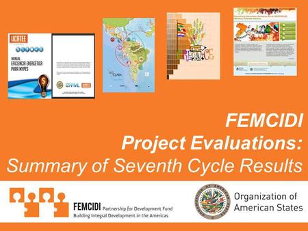 FEMCIDI Project Evaluations: Summary of Seventh Cycle Results.