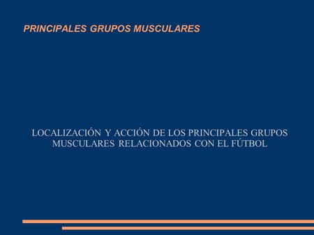 PRINCIPALES GRUPOS MUSCULARES
