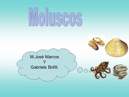 Moluscos M.José Marcos Y Gabriela Bofill..