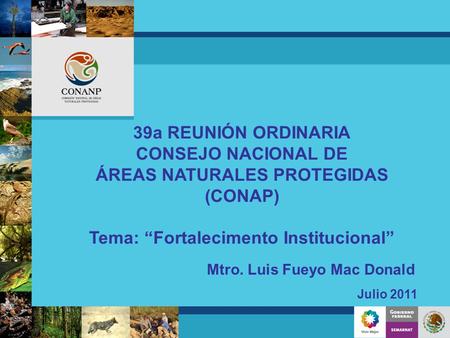39a REUNIÓN ORDINARIA CONSEJO NACIONAL DE ÁREAS NATURALES PROTEGIDAS (CONAP) Tema: “Fortalecimento Institucional” Julio 2011 Mtro. Luis Fueyo Mac Donald.