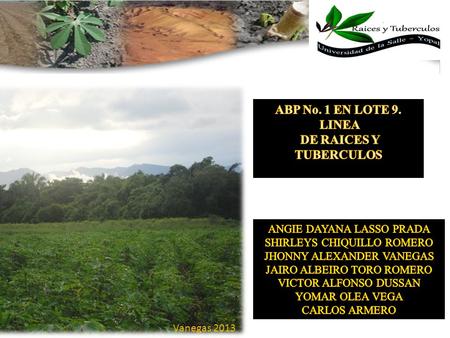 ABP No. 1 EN LOTE 9. LINEA DE RAICES Y TUBERCULOS