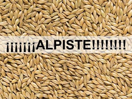 ¡¡¡¡¡¡¡ALPISTE!!!!!!!! Recentemente científicos investigadores de la Universidad Nacional Autónoma de México analizaron el gran poder alimenticio del.