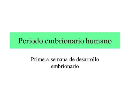 Periodo embrionario humano