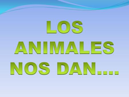 LOS ANIMALES NOS DAN…..
