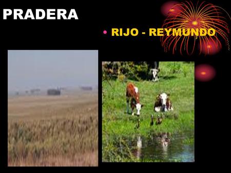 PRADERA RIJO - REYMUNDO.