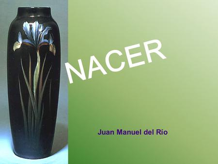 NACER Juan Manuel del Río La luz estaba oculta entre las sábanas como un ángel con alas de azucena cimbreándose en el árbol primavera donde la flor apenas.