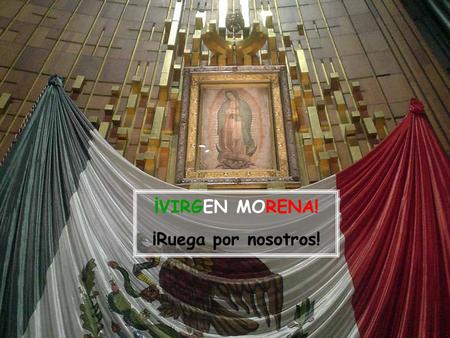 ¡VIRGEN MORENA! ¡Ruega por nosotros!.