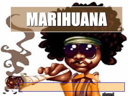 MARIHUANA. Cannabis sativaMarihuana  Nombre común Cannabis sativa Usado Elemento euforizante HachisMás potentes  Flores o Resina exudada hojas  Hachis.
