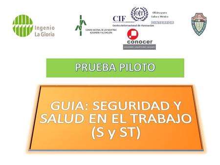 Los trabajadores se dedicaron a contestar la guía de manera ordenada y concentrados en lo que estaban haciendo. En los primeros 45 min no hubo preguntas.