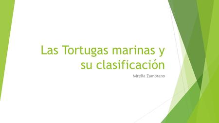 Las Tortugas marinas y su clasificación