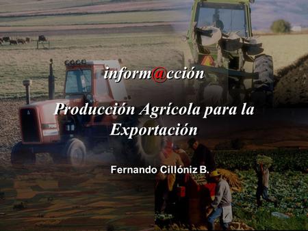 Producción Agrícola para la Exportación Fernando Cillóniz B.