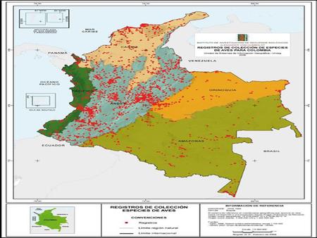 En el caso de anfibios, la región andina tiene 53% de diversidad Pacífico (27,3%) Amazónico (19,6%) Orinoquía (5,7%) Caribe (3.9%).